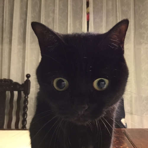 マメさん取り扱い方_e0358096_18511759.jpeg