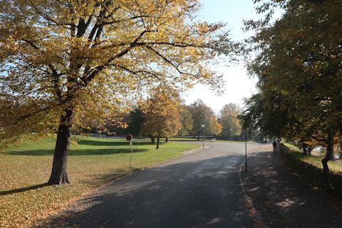 c0090198_16510883.jpg