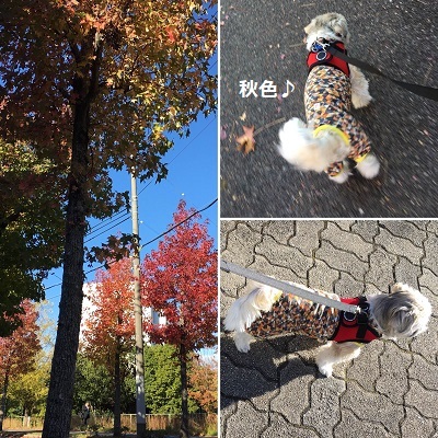 f0372998_19001367.jpg