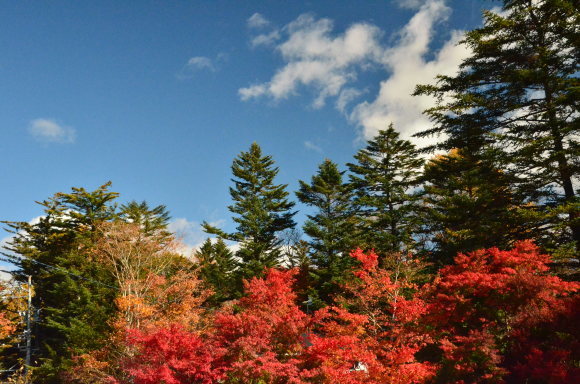 a0288500_11544328.jpg