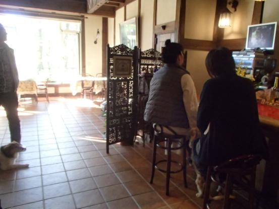 f0064906_16281213.jpg