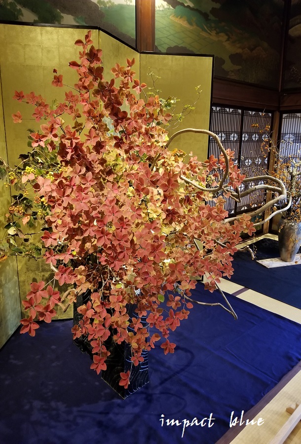 百段階段、生け花展に行ってみた(^^)/ ~続~_a0355908_14224770.jpg