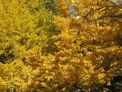 f0325309_16555729.jpg