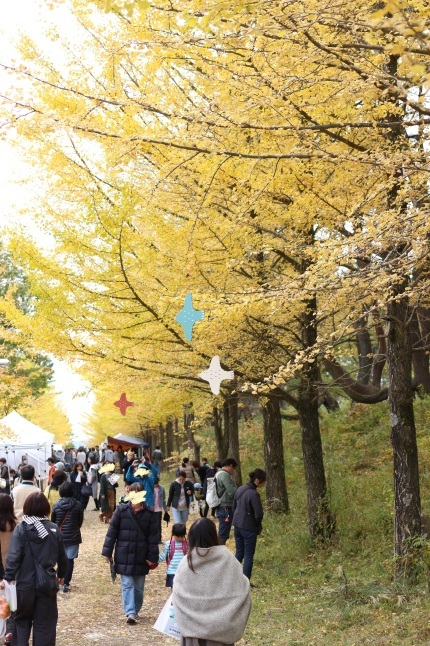 レンコンチップスと、刺し子の大き目コースター。_f0354014_21023294.jpg