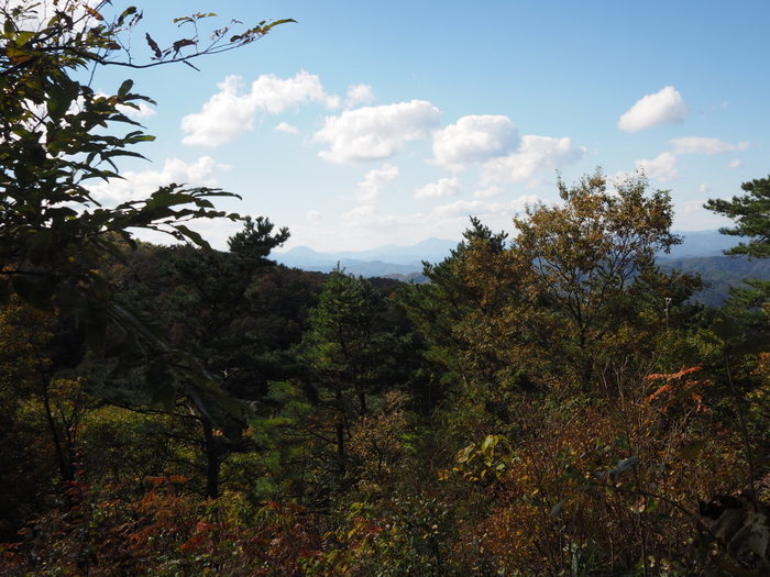 c0116915_23483592.jpg
