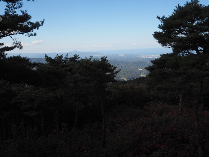 c0116915_23495520.jpg