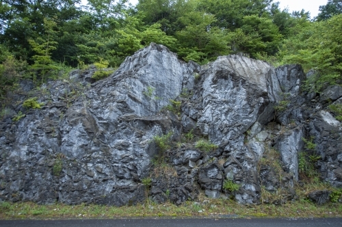 c0168815_00563666.jpg