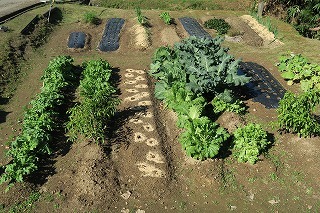e0081218_22152022.jpg