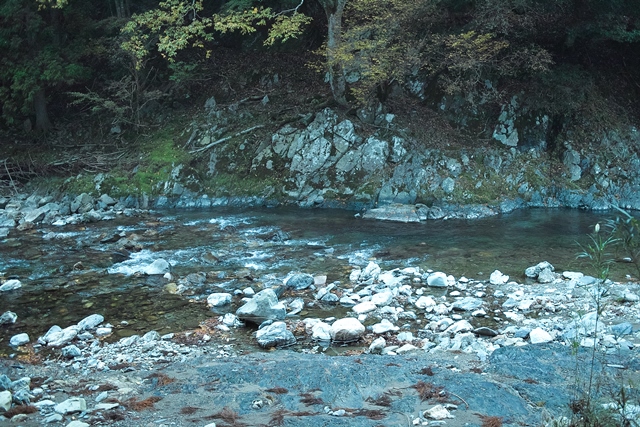 濃い霧・7℃の朝・・・おにゅう峠は雲海日和に　　　　朽木小川・気象台より_c0044819_7193566.jpg