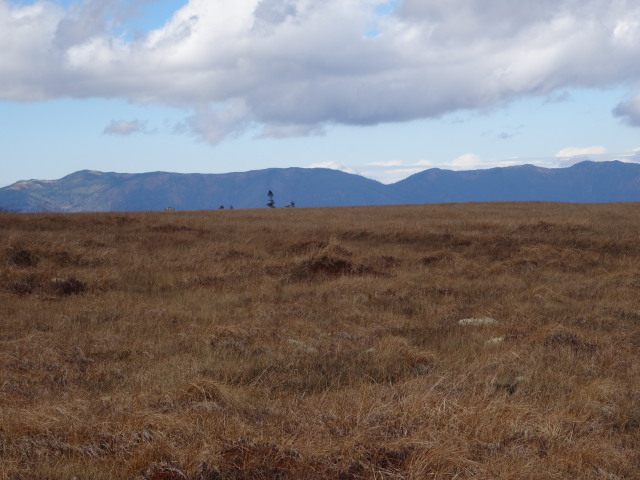 c0141223_18463345.jpg