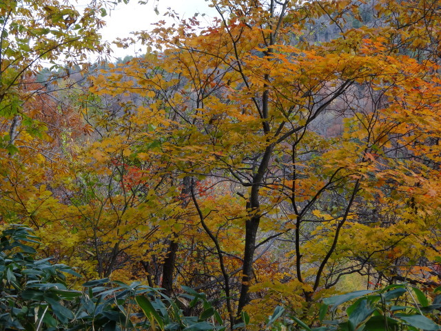 c0141223_18513105.jpg