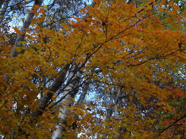 c0141223_18525679.jpg