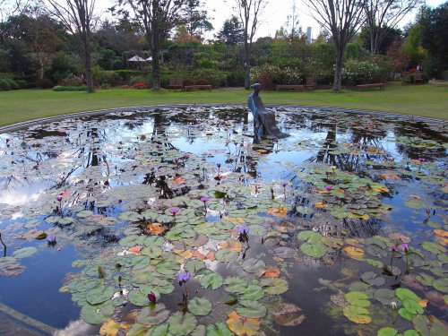 ヴァンジ彫刻庭園美術館　須田悦弘　ミテクレマチス展_b0187024_15473870.jpg