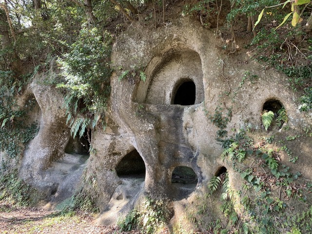 e0037126_21113980.jpg