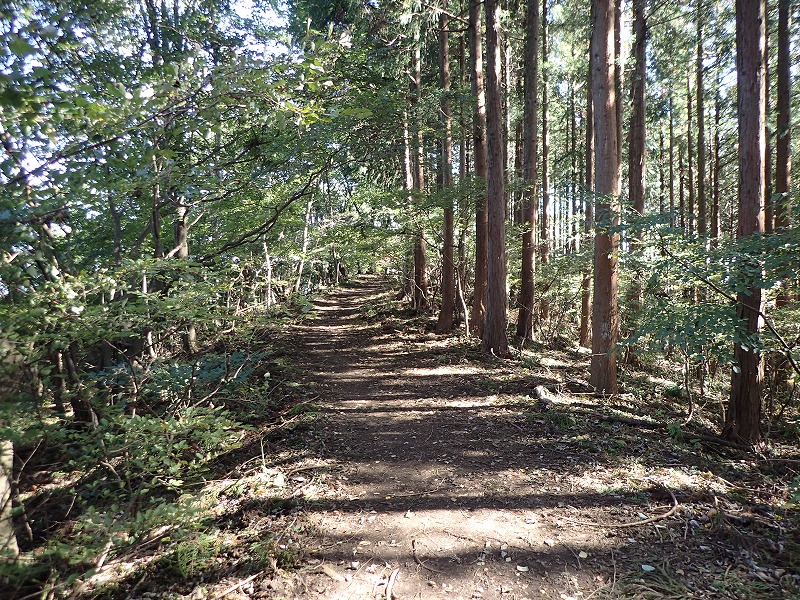 e0284726_19202438.jpg