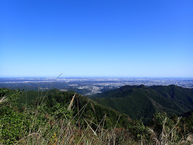 e0284726_1927532.jpg