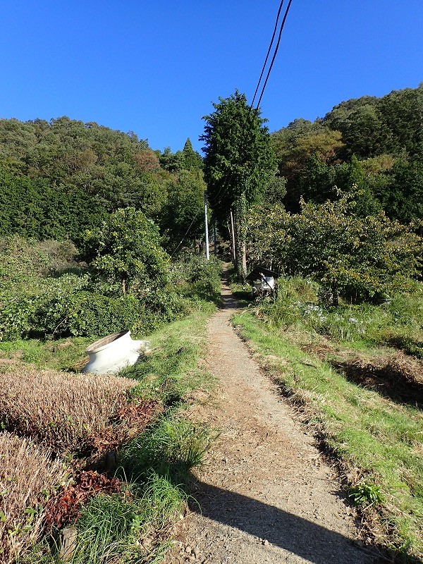 e0284726_9444420.jpg