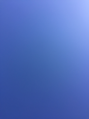 a0118928_12482605.jpg