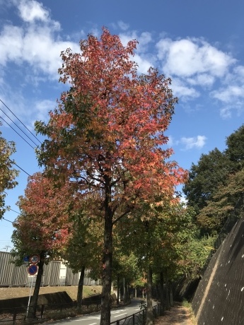 d0146230_23032740.jpeg