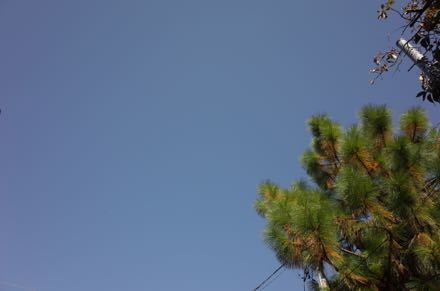 f0132230_10273904.jpg