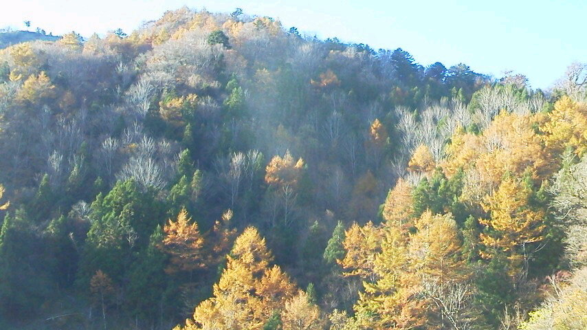 c0089831_21571355.jpg