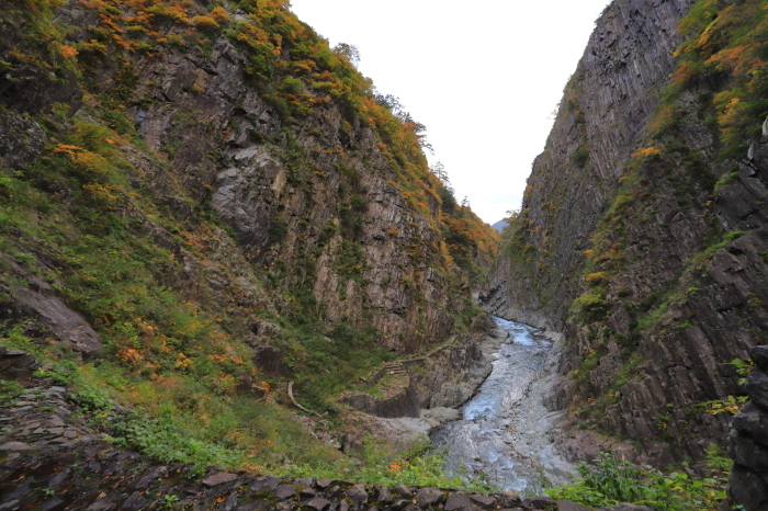 f0348831_07372179.jpg