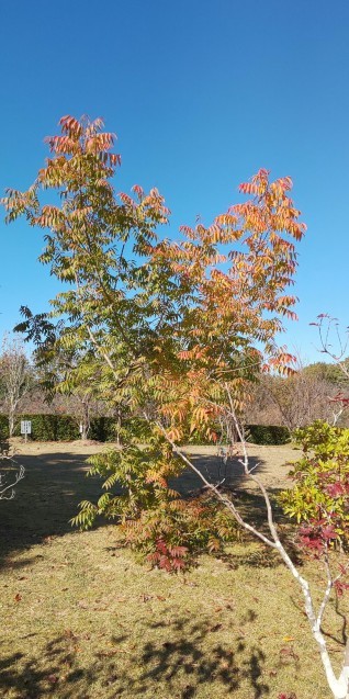 e0376933_12022634.jpg