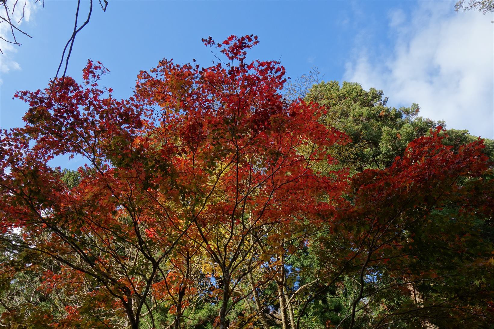 △　第1回山行隊オフ会　△_f0348933_19251211.jpg