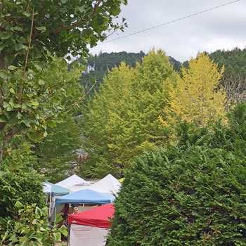 e0204334_22051210.jpg