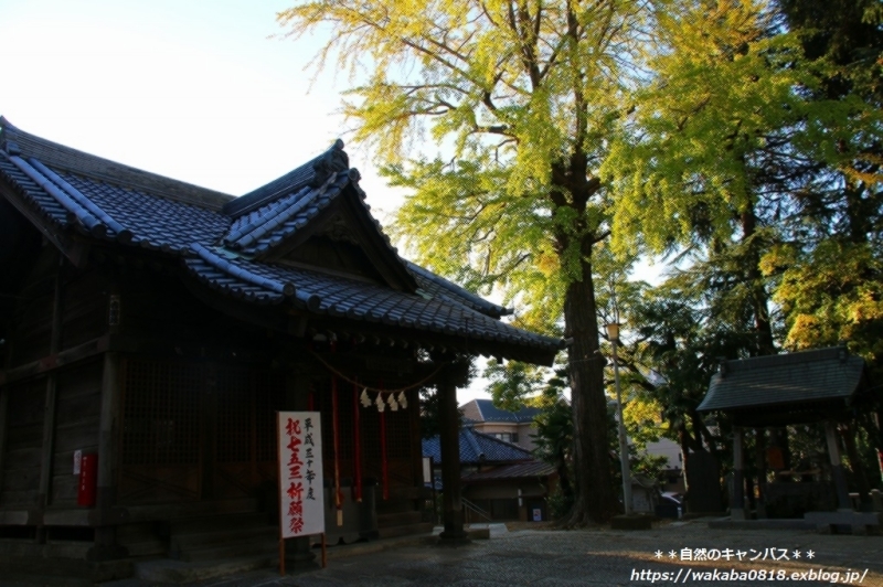 e0052135_17104331.jpg