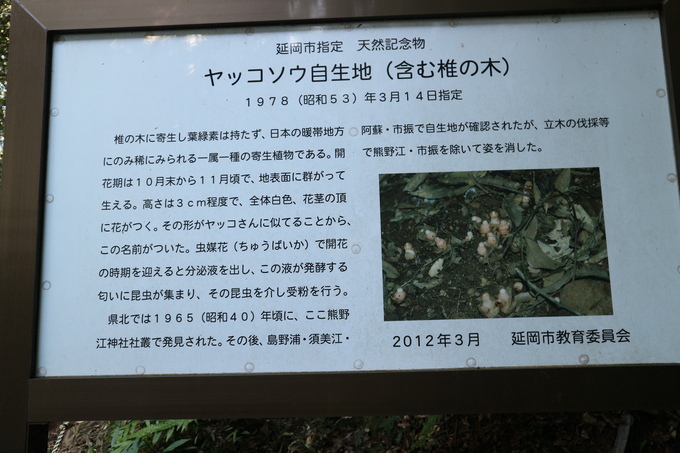 e0272335_1853297.jpg