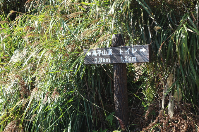 再び熊野江神社（ヤッコソウ）＆高平山（ツメレンゲ）！_e0272335_2129507.jpg