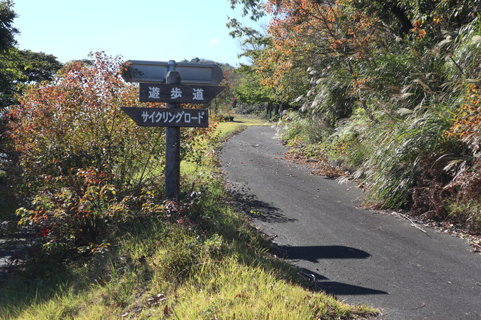 e0272335_21313691.jpg