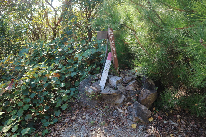 再び熊野江神社（ヤッコソウ）＆高平山（ツメレンゲ）！_e0272335_21565667.jpg