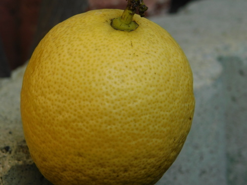 c0338136_15012587.jpg