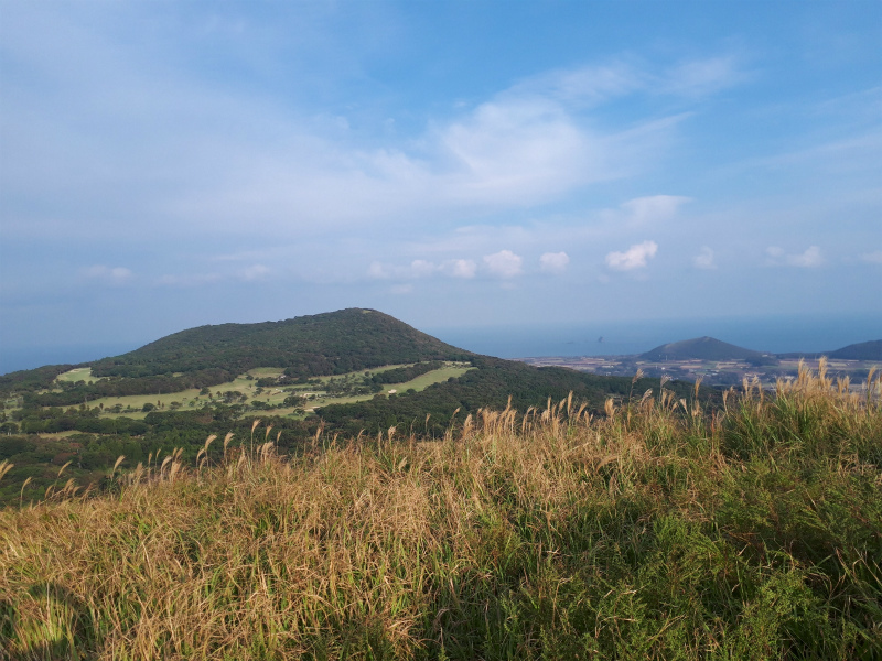 d0049238_21024437.jpg