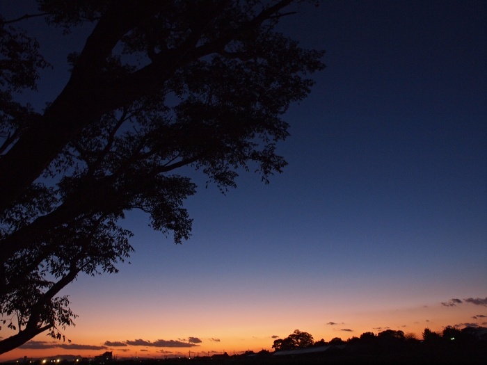 c0281841_14094501.jpg