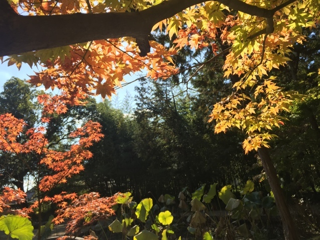 d0145345_23264717.jpeg