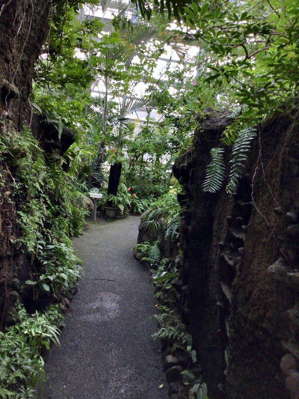 d0063149_15553923.jpg