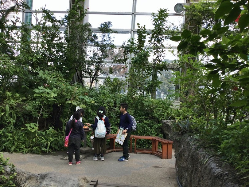 d0063149_15565795.jpg