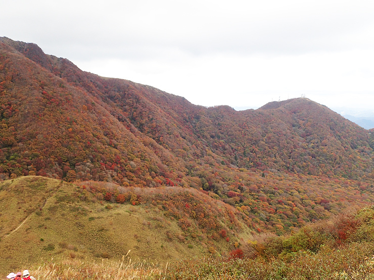 f0214649_04412658.jpg