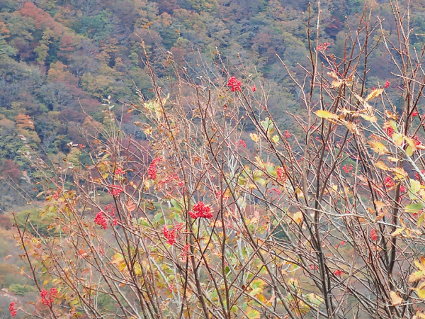 f0214649_04475998.jpg