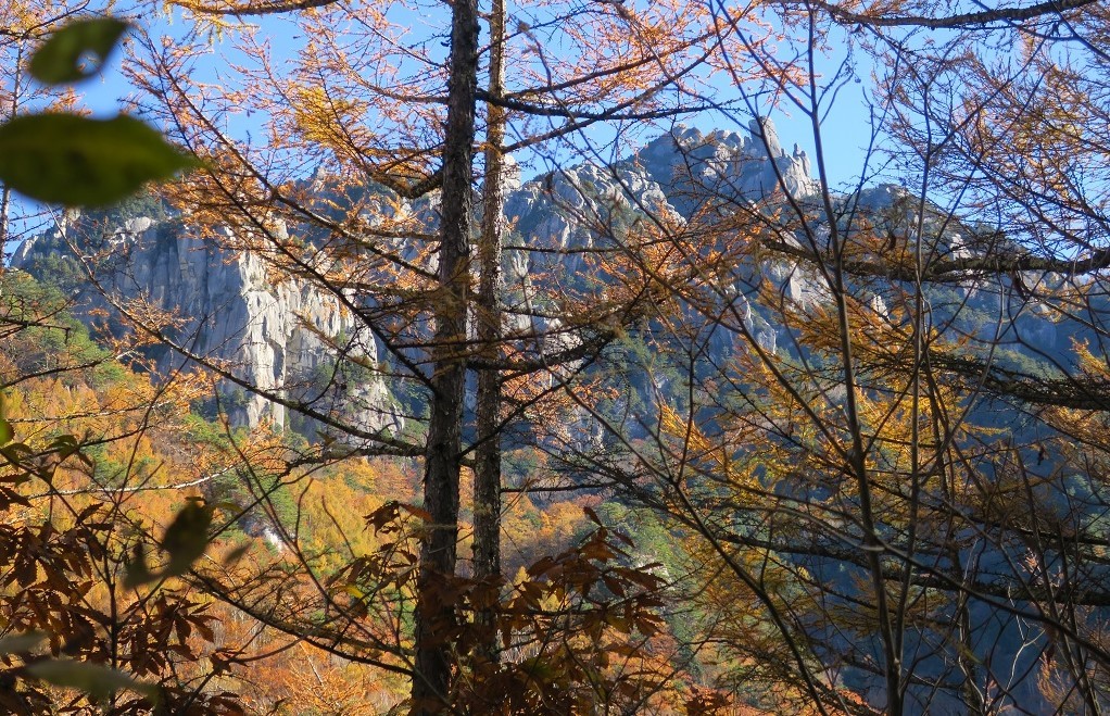 瑞牆山 紅葉ハイキング 18 東京志岳会