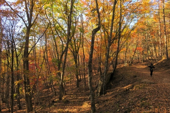 瑞牆山　紅葉ハイキング　2018_a0286351_15035313.jpg