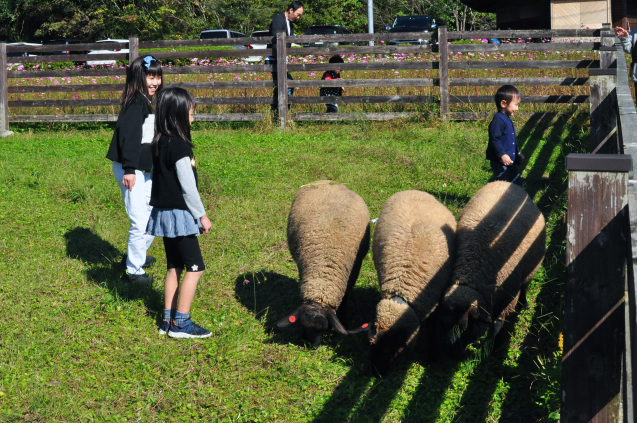 綾部ふれあい牧場祭り　秋　　11/03_b0214652_17580005.jpg