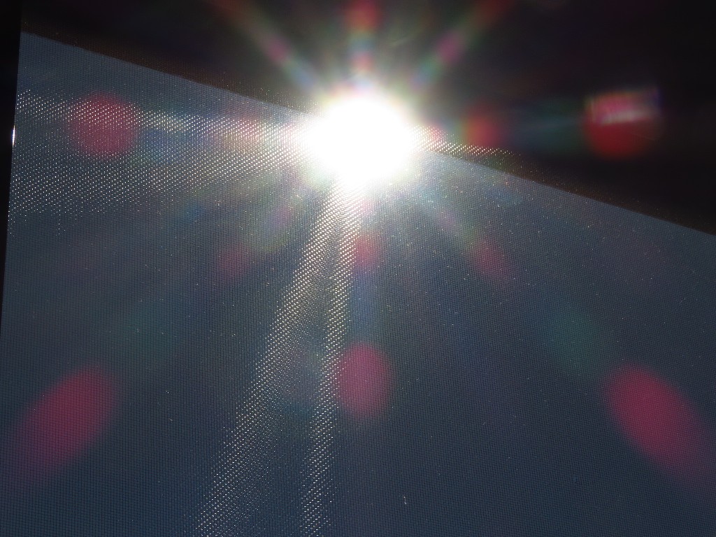 a0018655_09172538.jpg