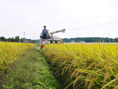 熊本の美味しいお米（七城米、菊池水源棚田米、砂田のれんげ米）大好評発売中！こだわり紹介2018　その1_a0254656_17085643.jpg