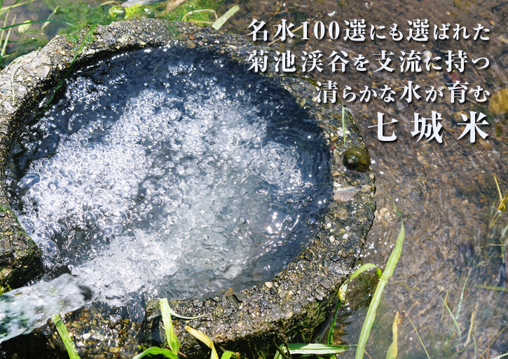 熊本の美味しいお米(七城米、菊池水源棚田米、砂田のれんげ米)大好評発売中!こだわり紹介2018 その1_a0254656_17103045.jpg