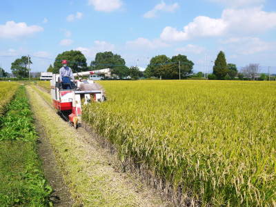 熊本の美味しいお米（七城米、菊池水源棚田米、砂田のれんげ米）大好評発売中！こだわり紹介2018　その1_a0254656_18334985.jpg