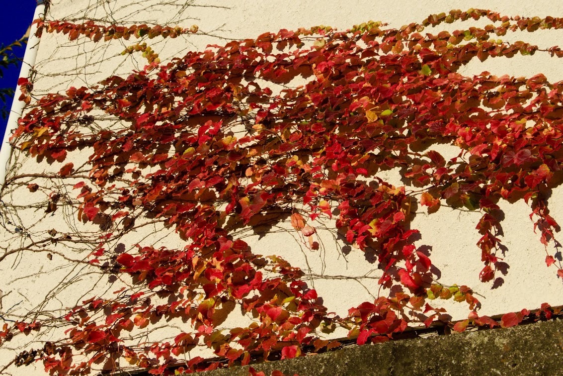 a0248459_12461677.jpg